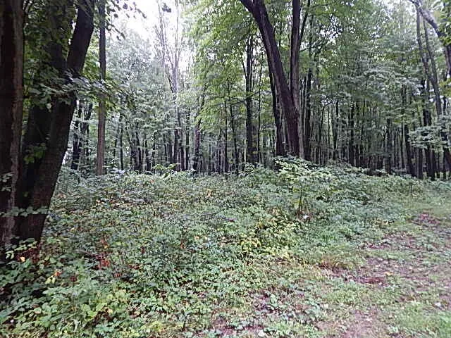 29650 D DRIVE S Albion, MI 49224