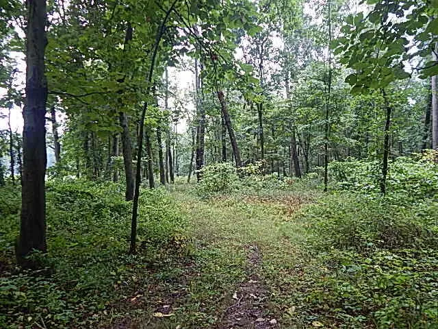 29650 D DRIVE S Albion, MI 49224