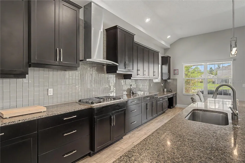 8118 WATER COLOR DRIVE Land O Lakes, FL 34638