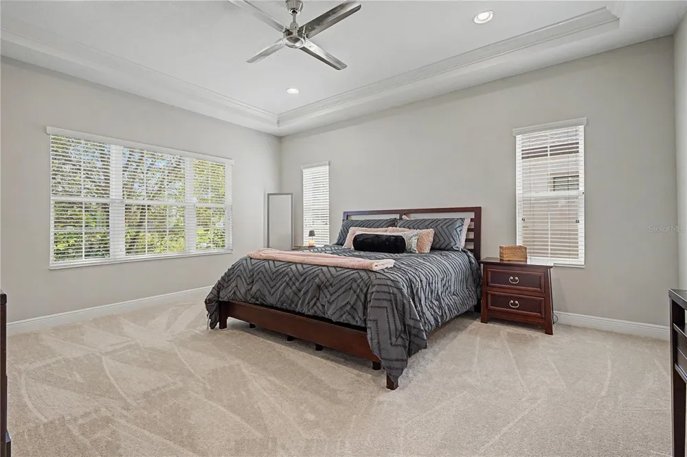 8118 WATER COLOR DRIVE Land O Lakes, FL 34638