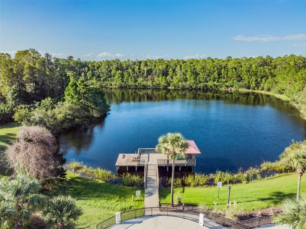 8118 WATER COLOR DRIVE Land O Lakes, FL 34638