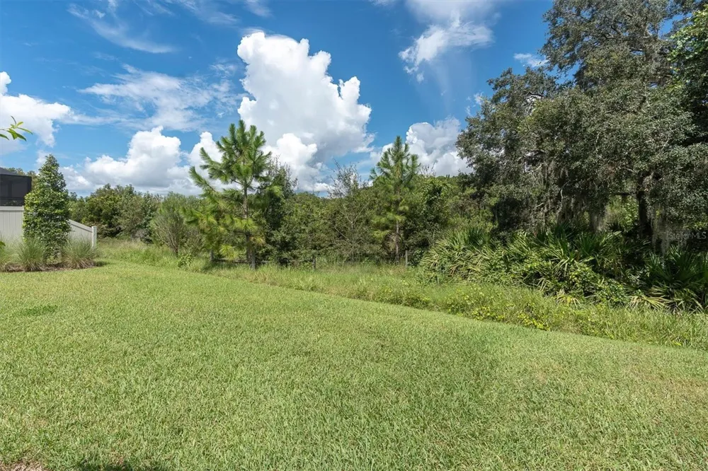 13659 STANSIL AVENUE Odessa, FL 33556