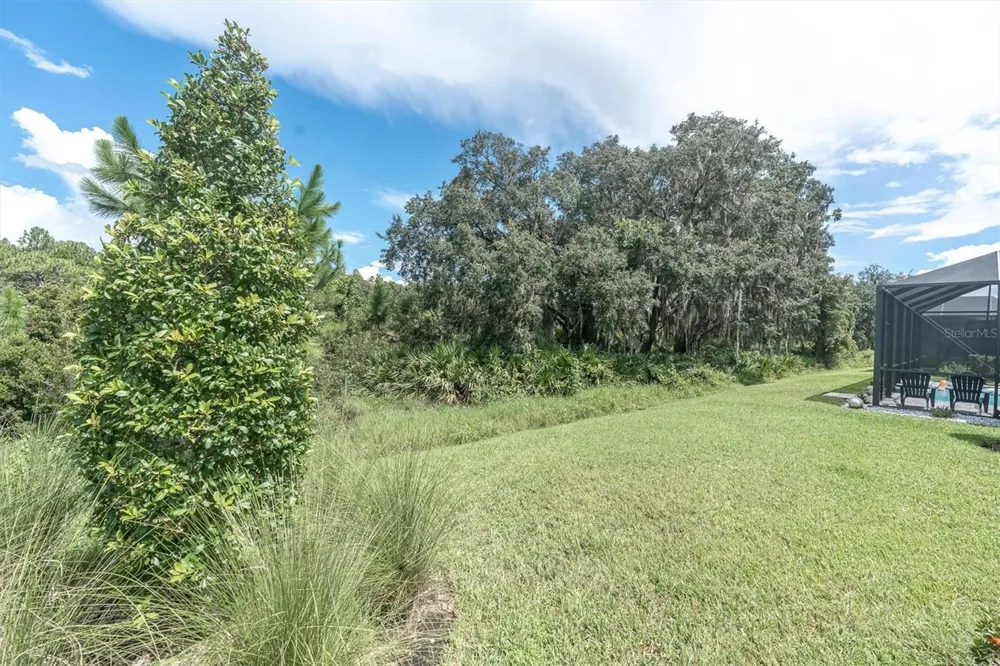 13659 STANSIL AVENUE Odessa, FL 33556