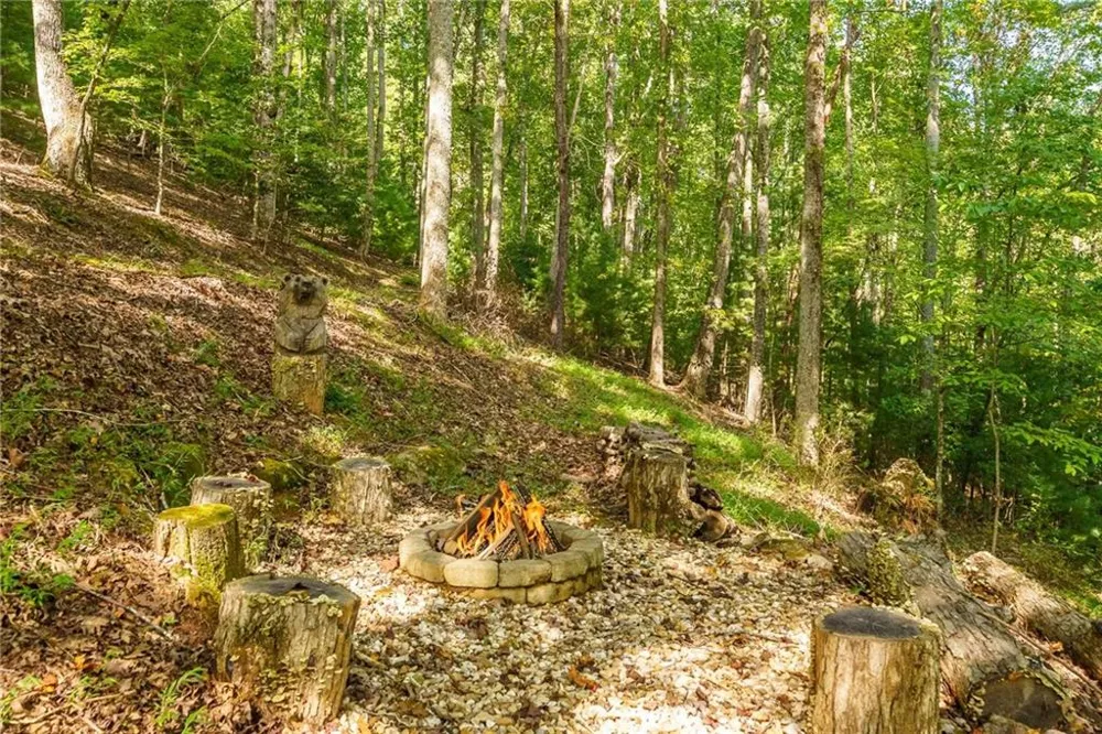 767 Robertson Circle Blairsville, GA 30512