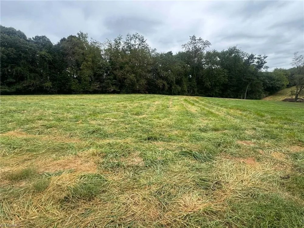 239 Southard Road Elkin, NC 28621