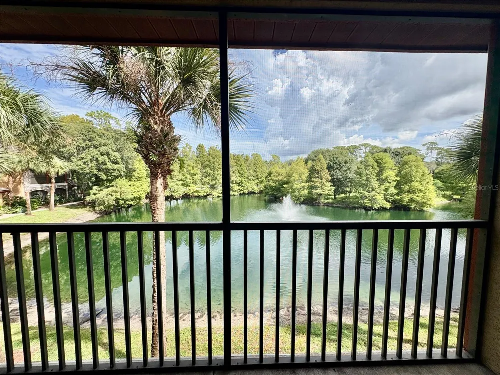 2173 TUSCANY TRACE #163 Palm Harbor, FL 34683
