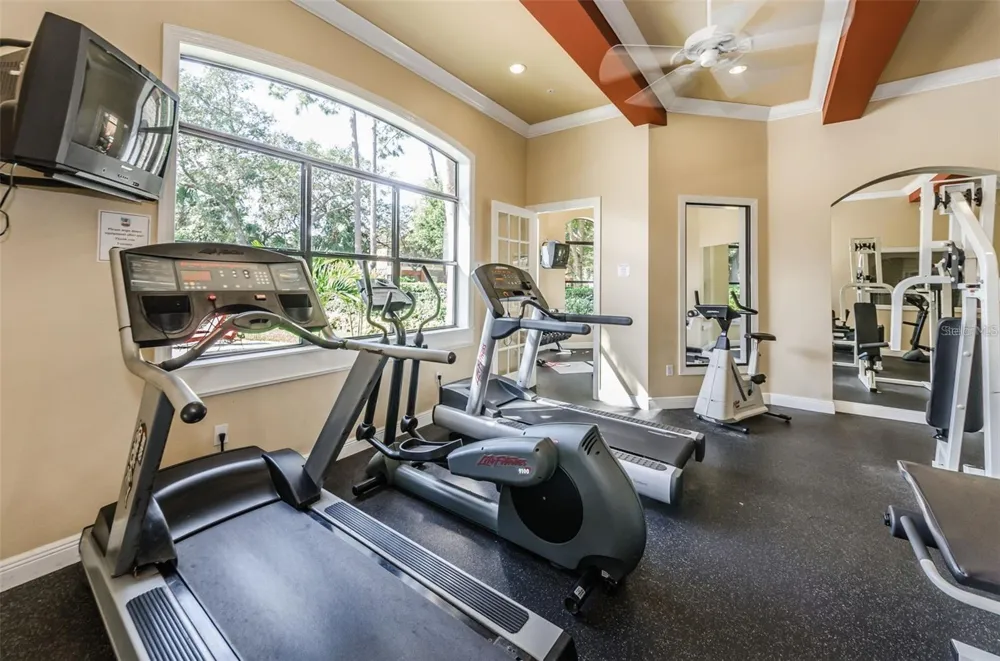 2173 TUSCANY TRACE #163 Palm Harbor, FL 34683