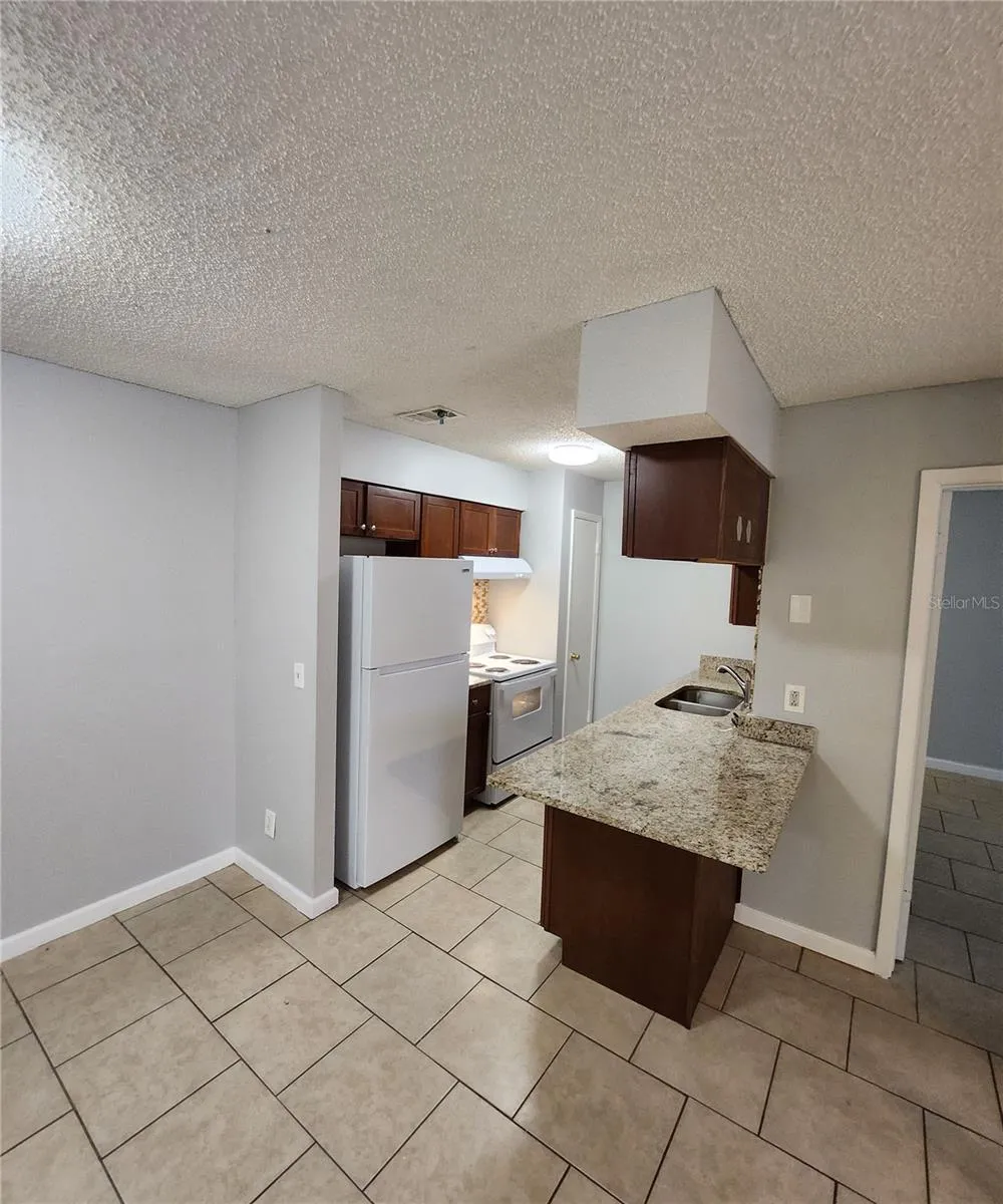 237 THORN TREE PLACE Brandon, FL 33510