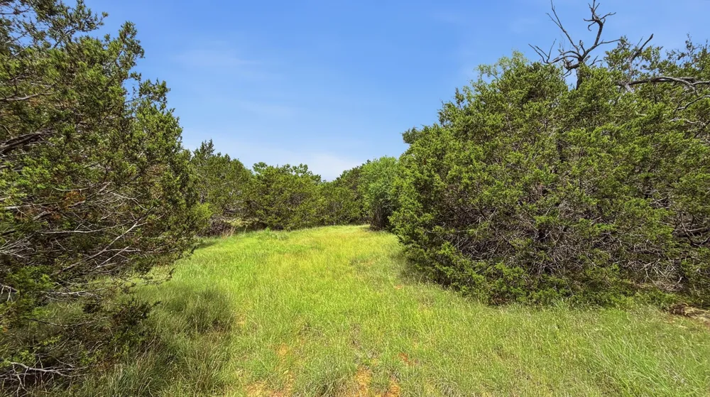 PR 42101 Evant, TX 76525