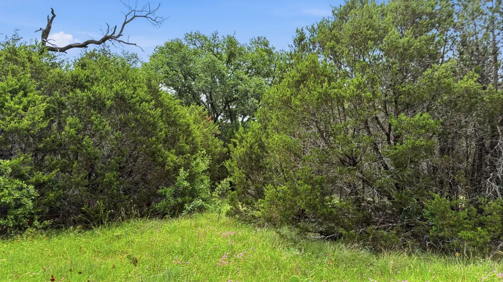 PR 42101 Evant, TX 76525