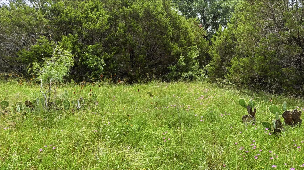 PR 42101 Evant, TX 76525