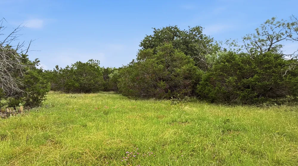 PR 42101 Evant, TX 76525