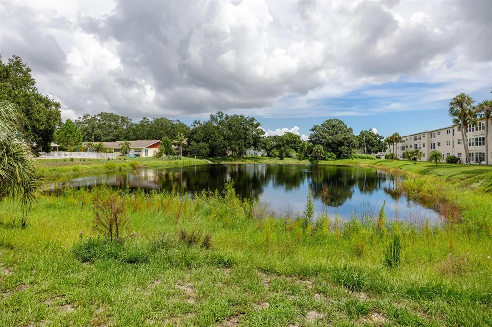 821 DELEON COURT #309 Dunedin, FL 34698