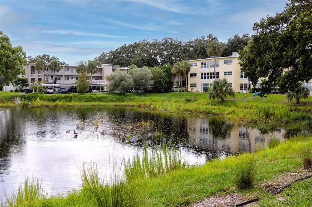 821 DELEON COURT #309 Dunedin, FL 34698
