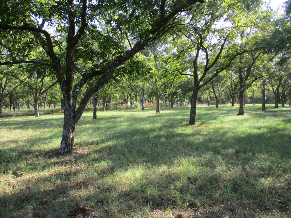 160 Rains County Road 2181 Emory, TX 75440
