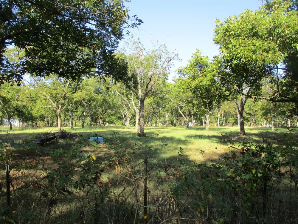 160 Rains County Road 2181 Emory, TX 75440