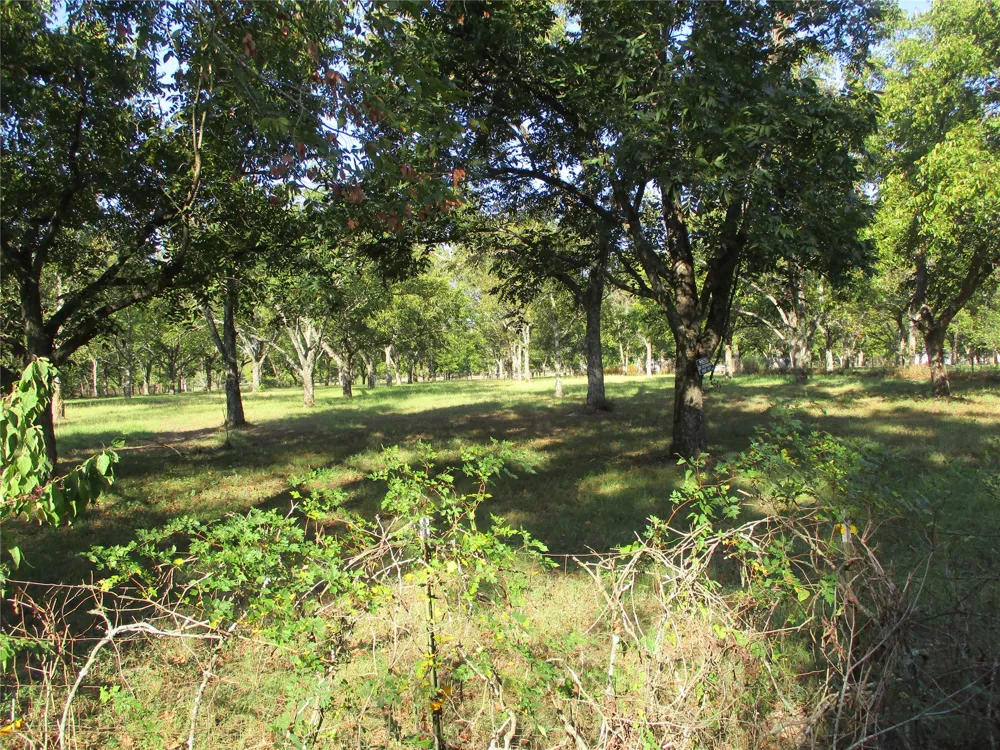 160 Rains County Road 2181 Emory, TX 75440