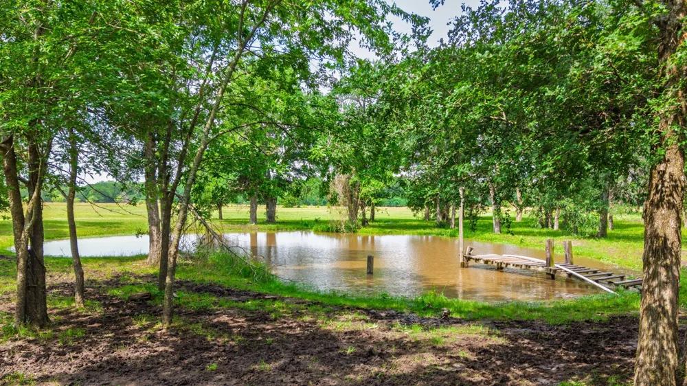 7478 County Road 1020 Wolfe City, TX 75496
