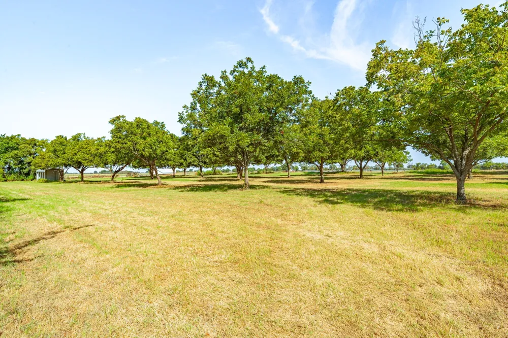 11217 Foutch Road Pilot Point, TX 76258