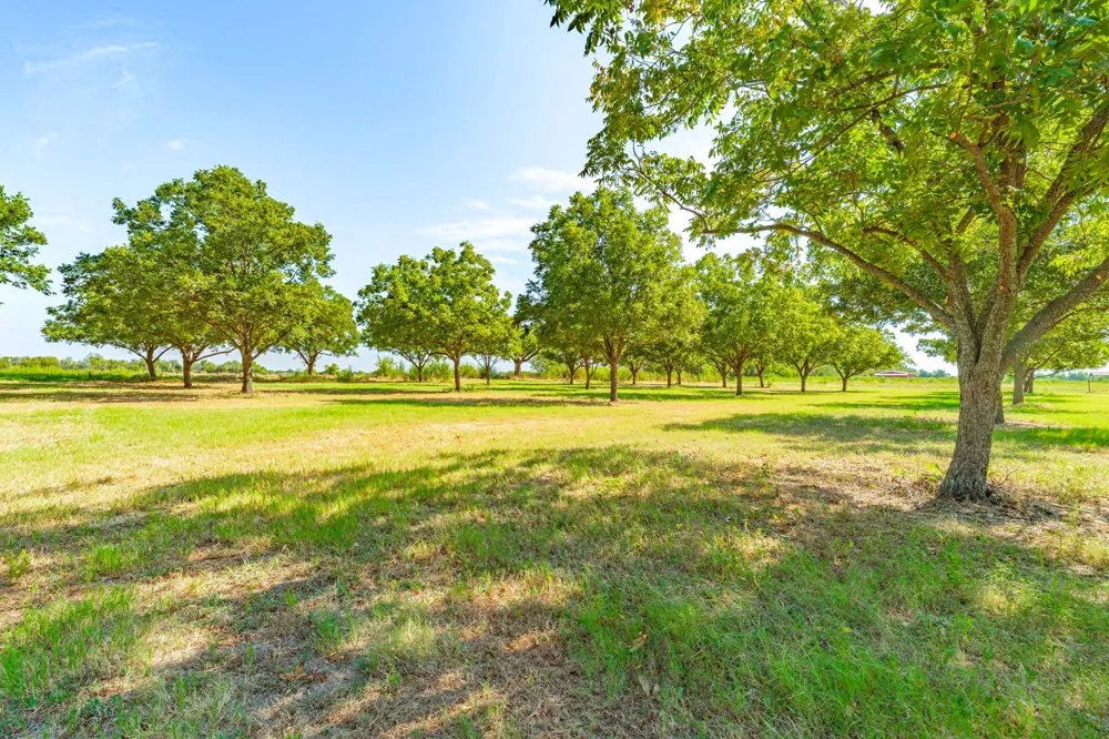 11217 Foutch Road Pilot Point, TX 76258
