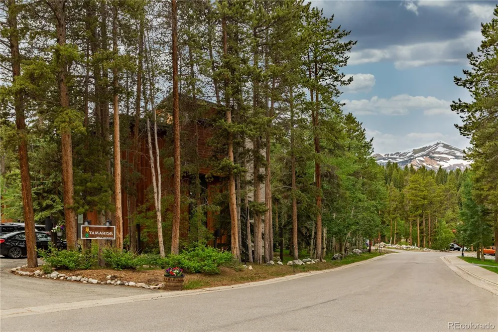 935 Columbine Road #206 Breckenridge, CO 80424