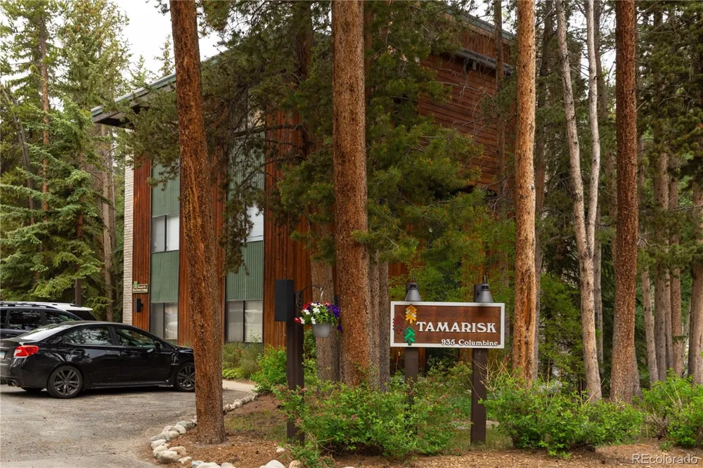 935 Columbine Road #206 Breckenridge, CO 80424