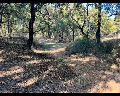 County Road 357