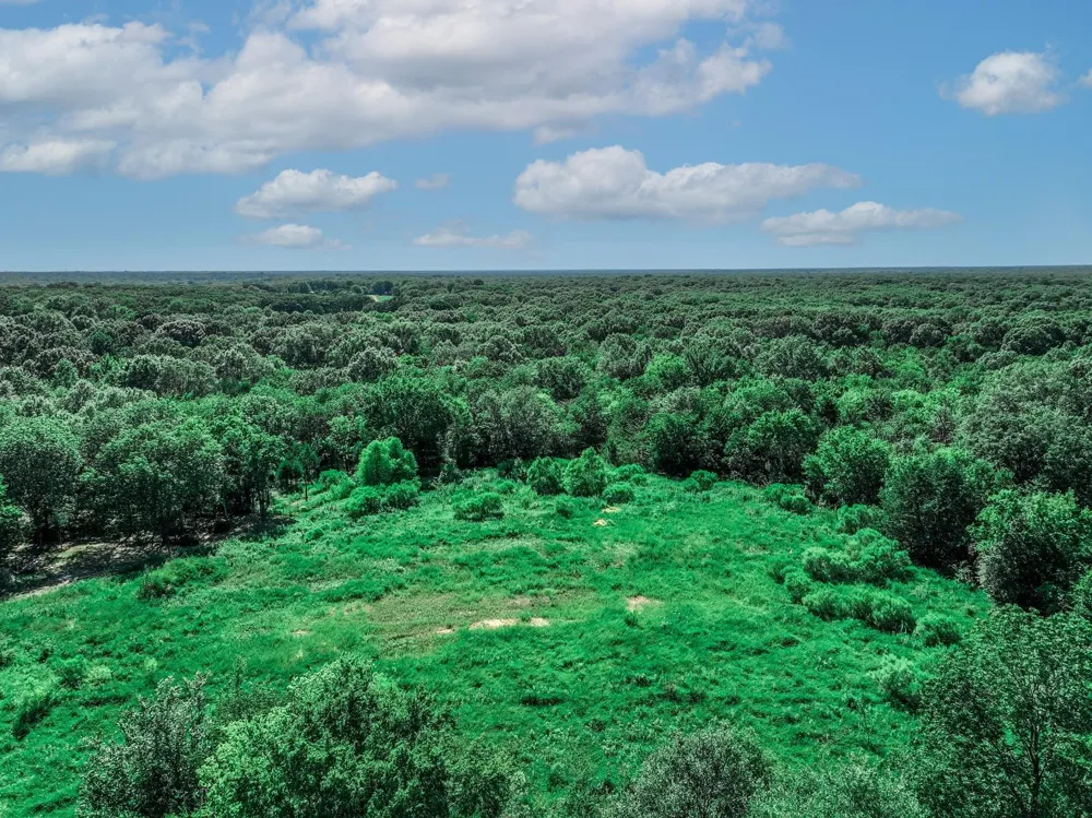 County Road 1909 Canton, TX 75117
