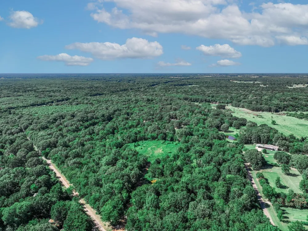 County Road 1909 Canton, TX 75117