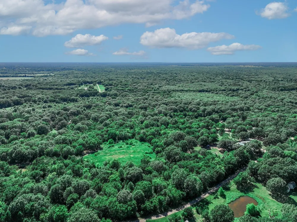 County Road 1909 Canton, TX 75117