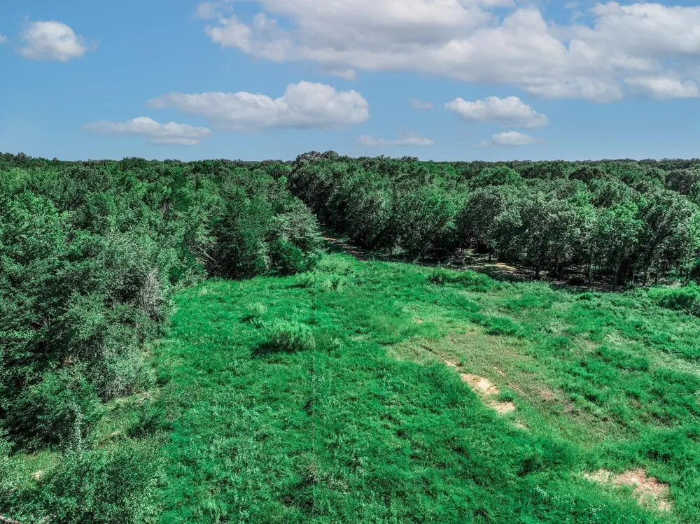 County Road 1909 Canton, TX 75117