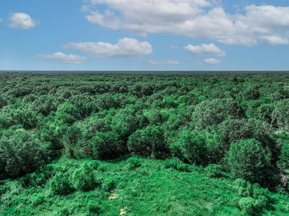 County Road 1909 Canton, TX 75117