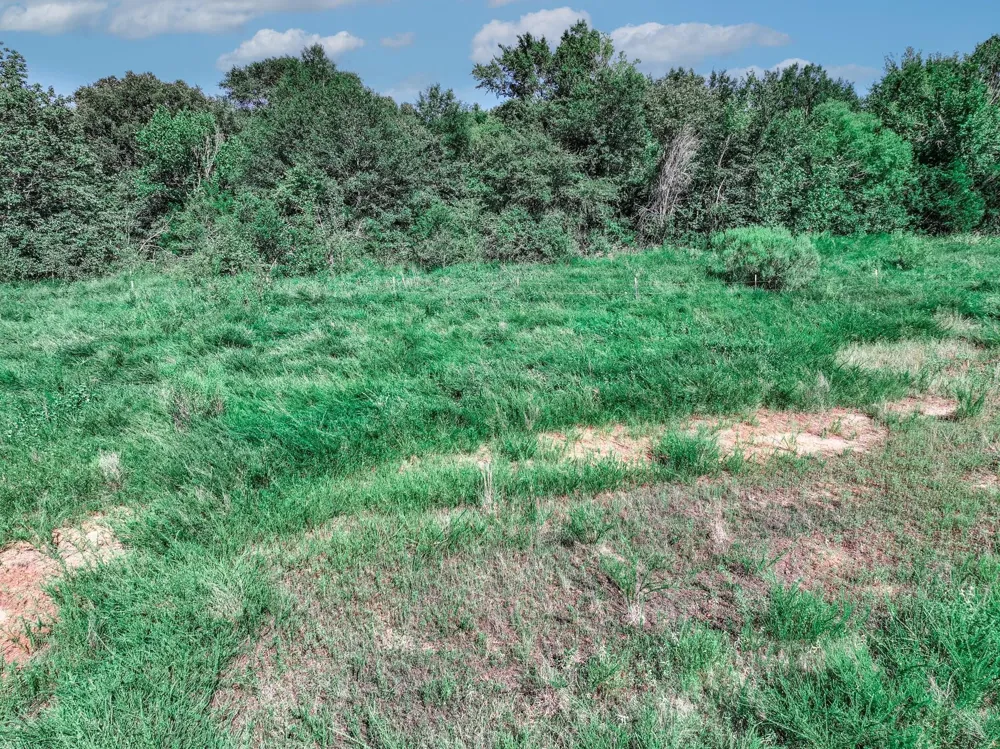 County Road 1909 Canton, TX 75117
