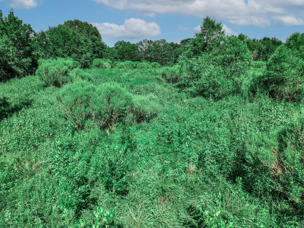 County Road 1909 Canton, TX 75117