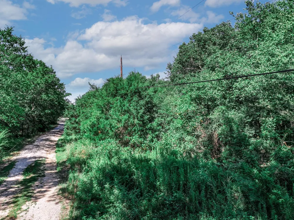 County Road 1909 Canton, TX 75117