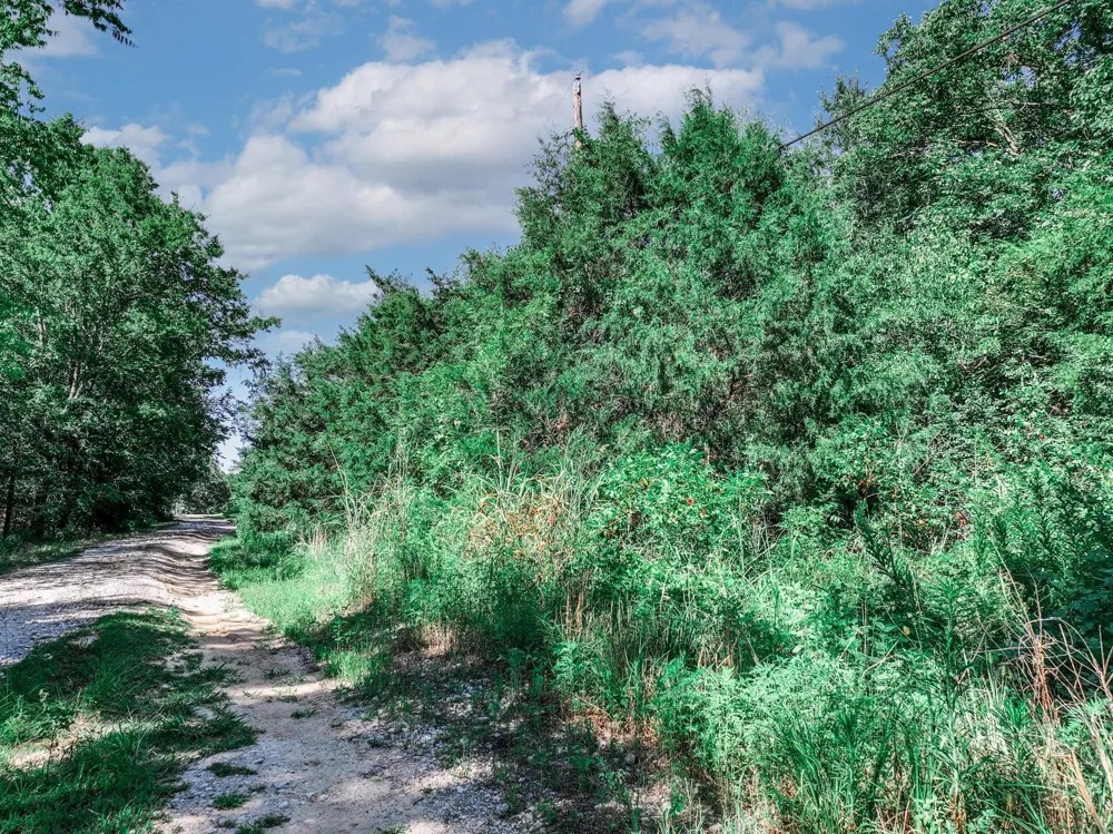 County Road 1909 Canton, TX 75117