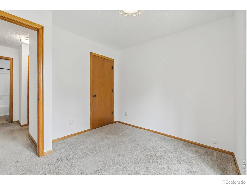 906 Foothills Court Windsor, CO 80550