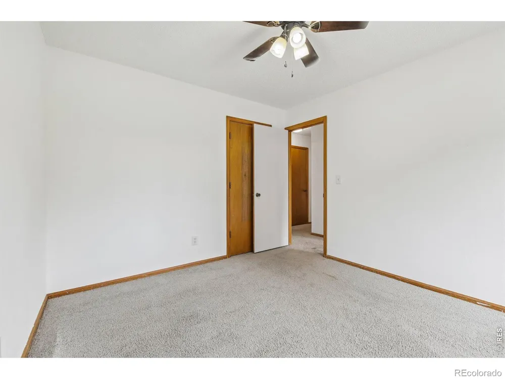 906 Foothills Court Windsor, CO 80550