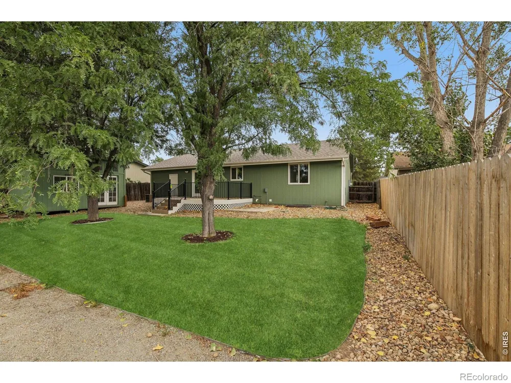 906 Foothills Court Windsor, CO 80550
