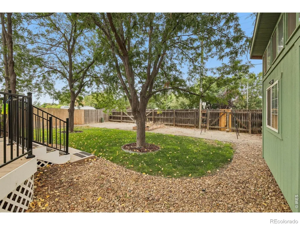 906 Foothills Court Windsor, CO 80550