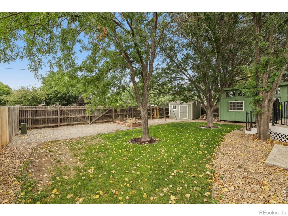 906 Foothills Court Windsor, CO 80550