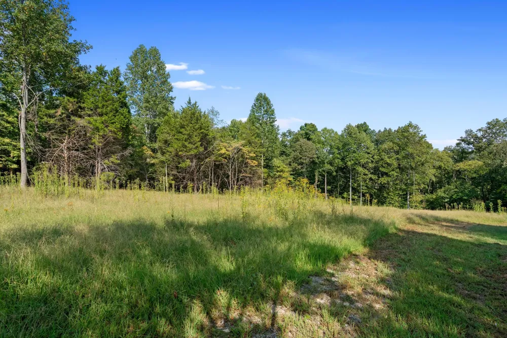 7131 Songbird Springs Lane Franklin, TN 37064