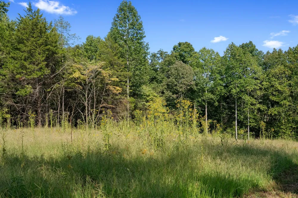 7131 Songbird Springs Lane Franklin, TN 37064