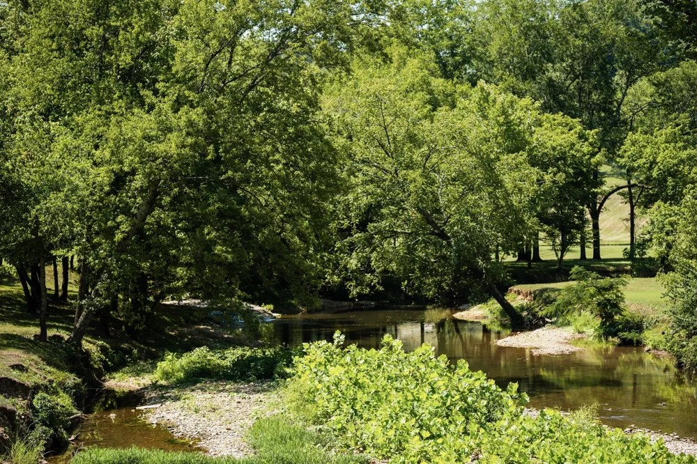 7131 Songbird Springs Lane Franklin, TN 37064