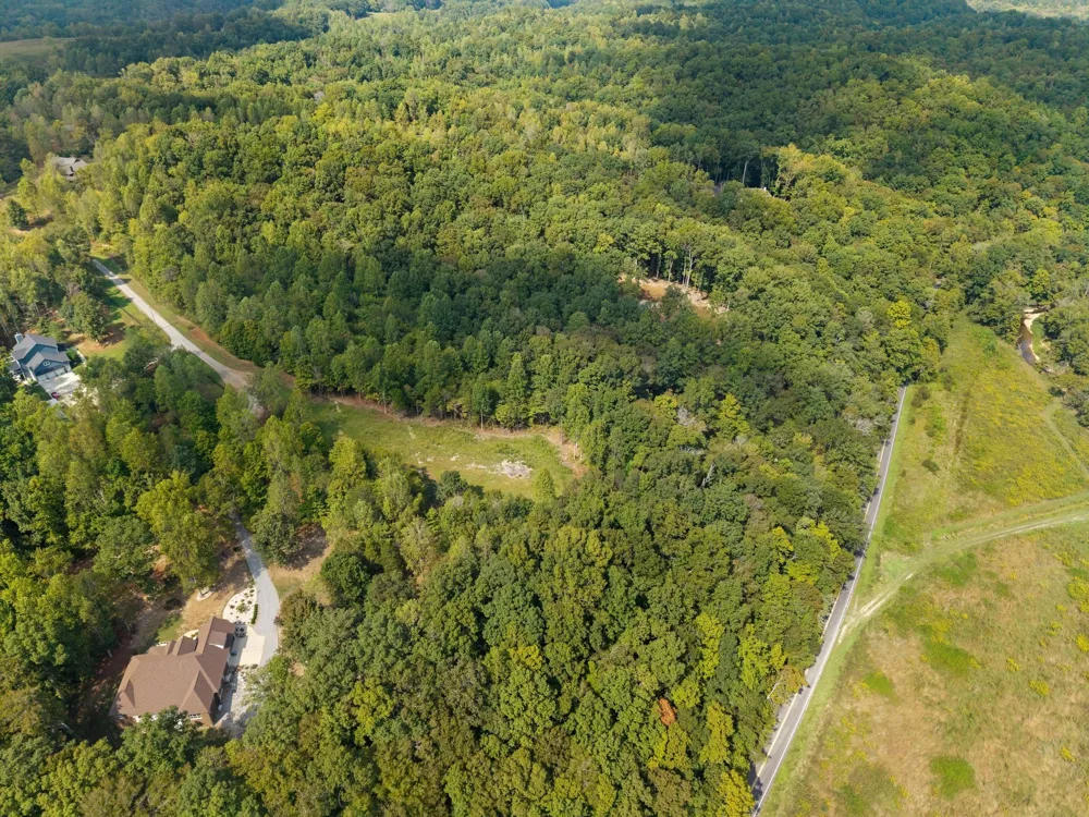 7131 Songbird Springs Lane Franklin, TN 37064