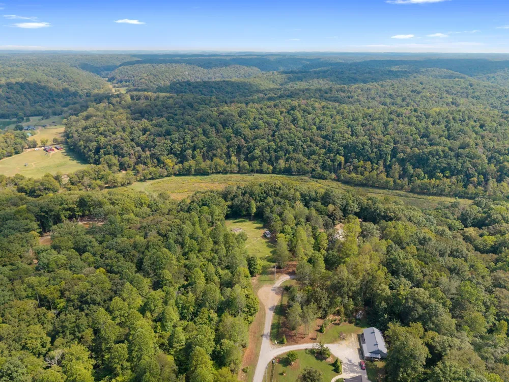 7131 Songbird Springs Lane Franklin, TN 37064