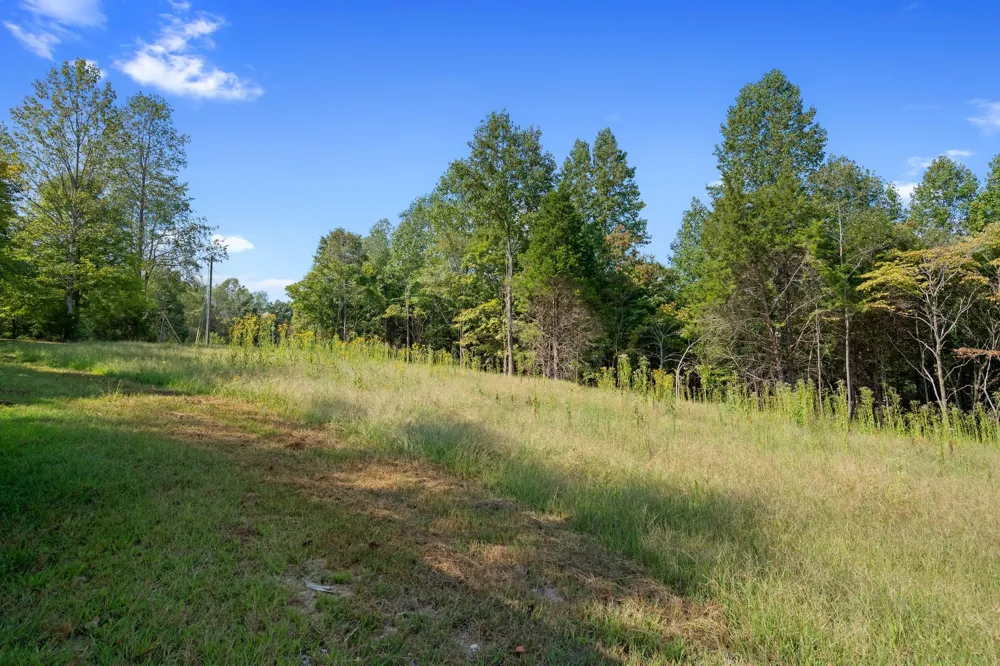 7131 Songbird Springs Lane Franklin, TN 37064