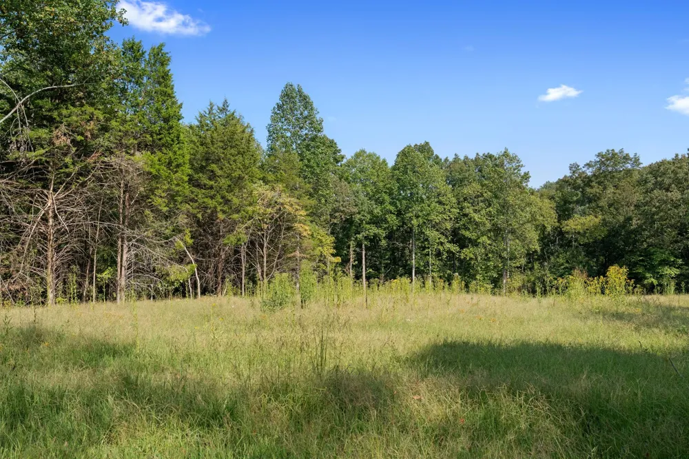 7131 Songbird Springs Lane Franklin, TN 37064