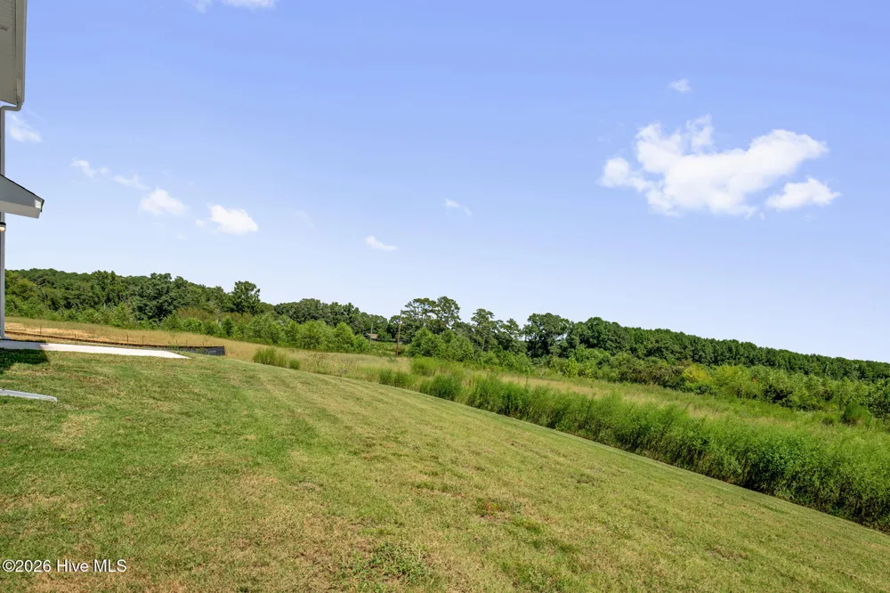 45 E Emily Gardens Drive Selma, NC 27576