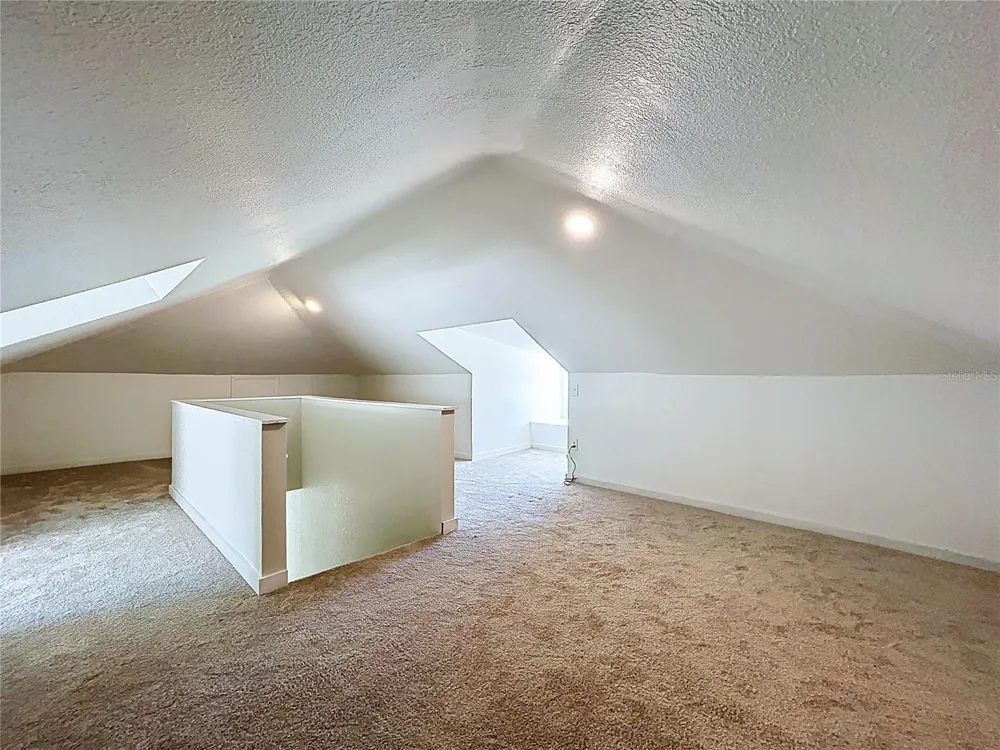 313 JEFFERSON AVENUE S Oldsmar, FL 34677